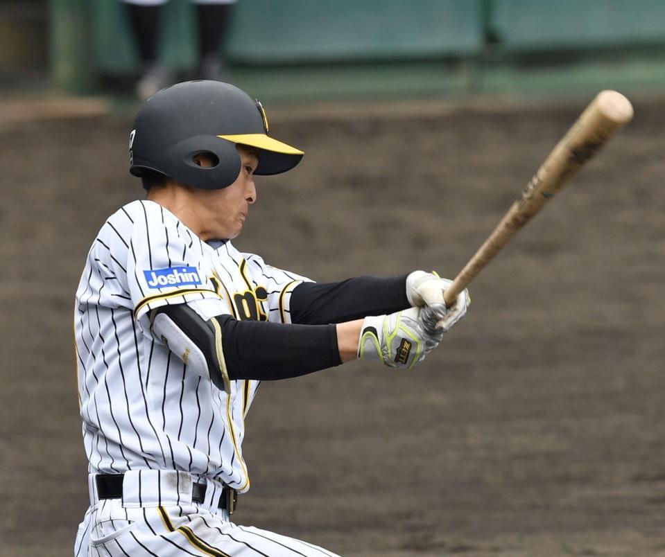 ７回裏阪神、２死一塁、高寺望夢は右前打を放つ＝安芸（撮影・佐々木彰尚）