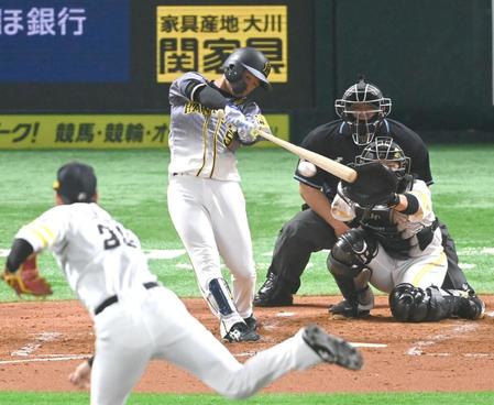 　３回、右前打を放つ近本（撮影・飯室逸平）