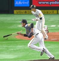 　３回、栗原を打ちとる藤浪（撮影・飯室逸平）