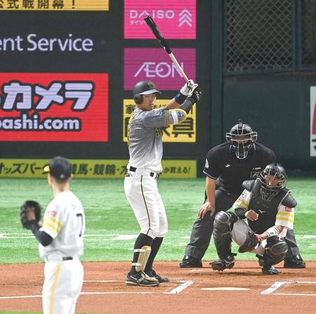 　打席で構える佐藤輝