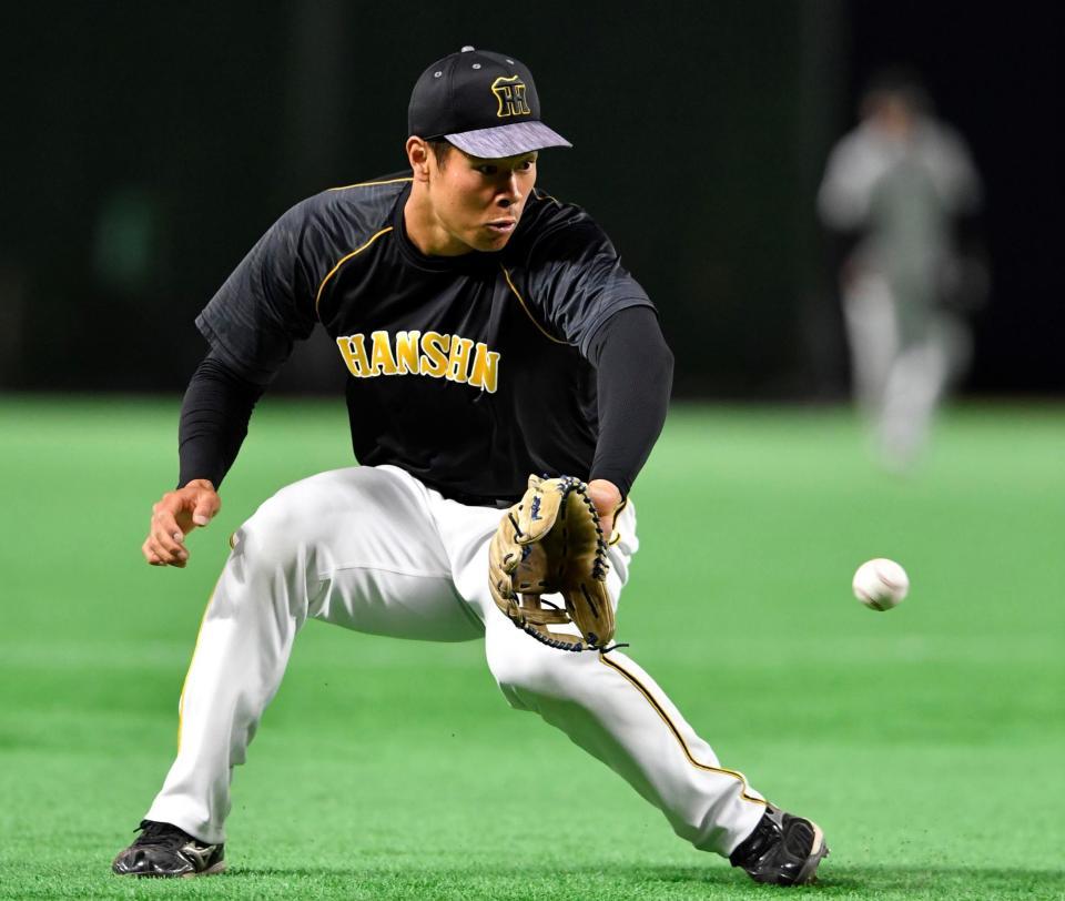 　三塁でノックを受ける阪神・佐藤輝（撮影・田中太一）