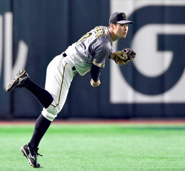 佐藤輝の左翼守備　阪神監督「メドついてきてる」