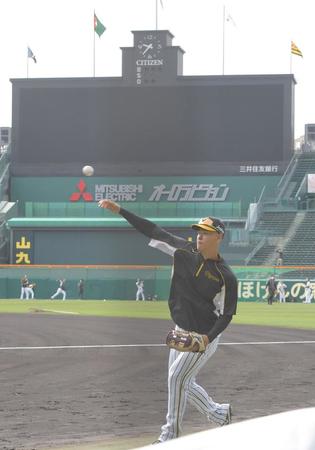 　聖地でキャッチボールをする佐藤輝（撮影・高部洋祐）