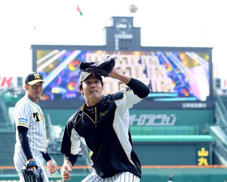 　ノックを受ける藤浪（撮影・田中太一）