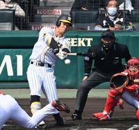 　１回、右前タイムリーを放つ佐藤輝（撮影・飯室逸平）