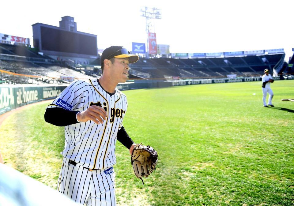 　３日、甲子園の外野ノックでクッションボールの練習をする佐藤輝