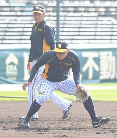 　試合前、大山（奥）と共にサードの位置でノックを受ける佐藤輝（撮影・高部洋祐）