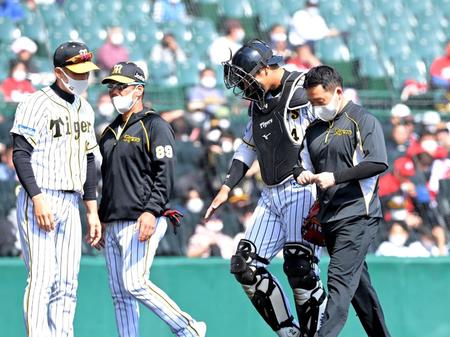 ２回途中、ベンチに下がる原口。左端は矢野監督（撮影・高部洋祐）