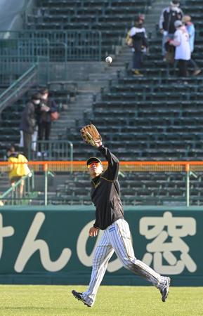 　試合後、フライ捕球の練習を行う佐藤輝（撮影・高部洋祐）