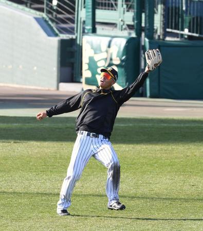 　試合後、守備練習する佐藤輝（撮影・山口登）