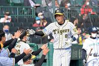 ５回、２ランを放ち、ナインとタッチを交わす佐藤輝（撮影・高部洋祐）