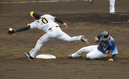 　３回、走者・森は藤浪のけん制で帰塁する（撮影・山口登）