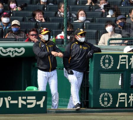 　４回、矢野監督（左）は佐藤輝の打球がファウルと判定されリプレー検証のリクエストをする（撮影・山口登）