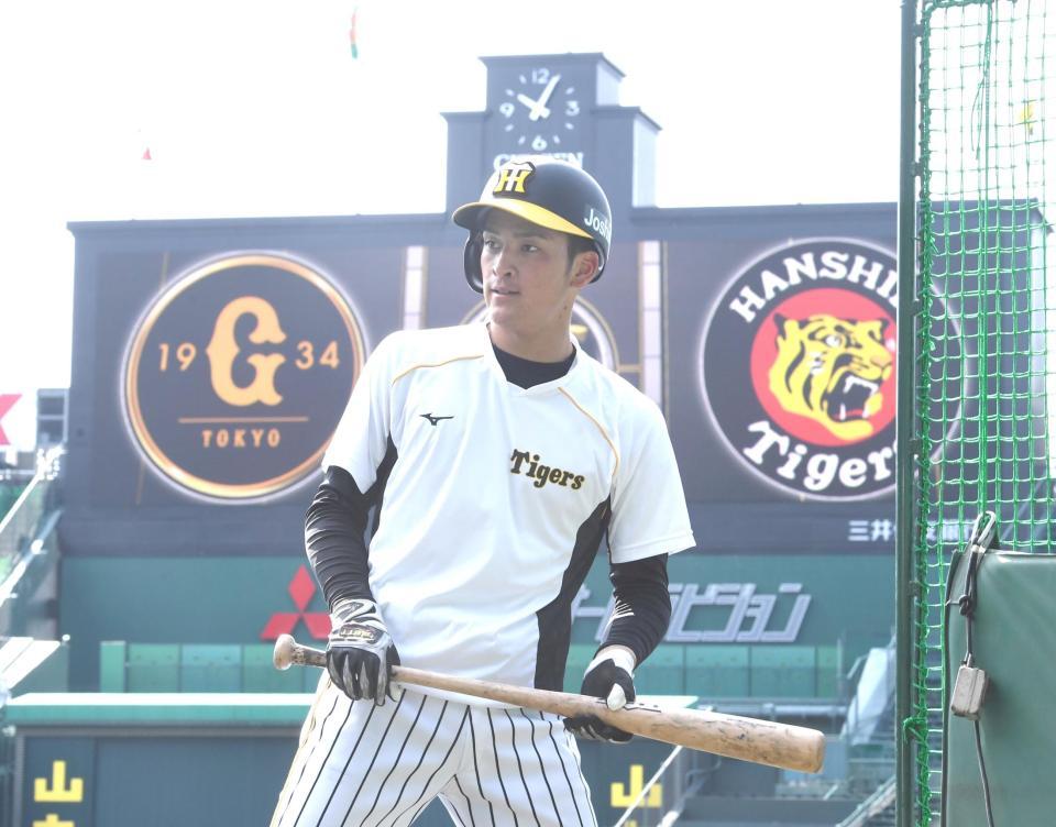 　甲子園での練習に汗を流す高寺（撮影・飯室逸平）