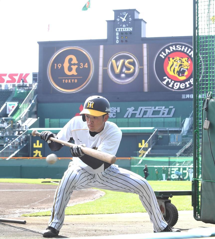 　甲子園で練習する高寺（撮影・飯室逸平）