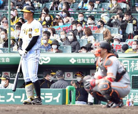 　４回、佐藤輝（手前）の打球でリクエストをしベンチで待つ矢野監督