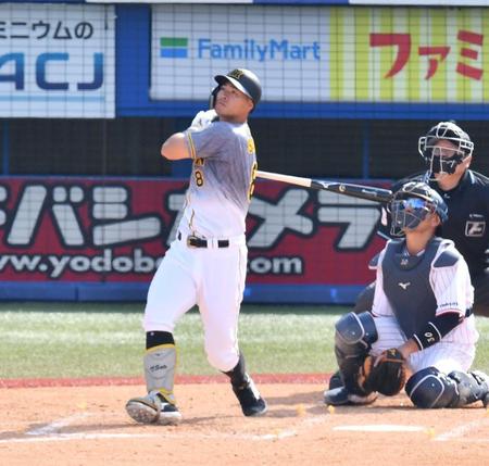 　４回、右越えに２ランを放つ佐藤輝（撮影・高石航平）