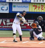 　６回、右翼線に安打を放つ佐藤輝（撮影・高石航平）