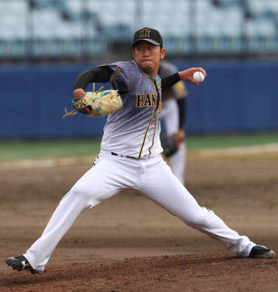 　２番手で登板し４回を三者凡退に抑えた阪神・岩貞