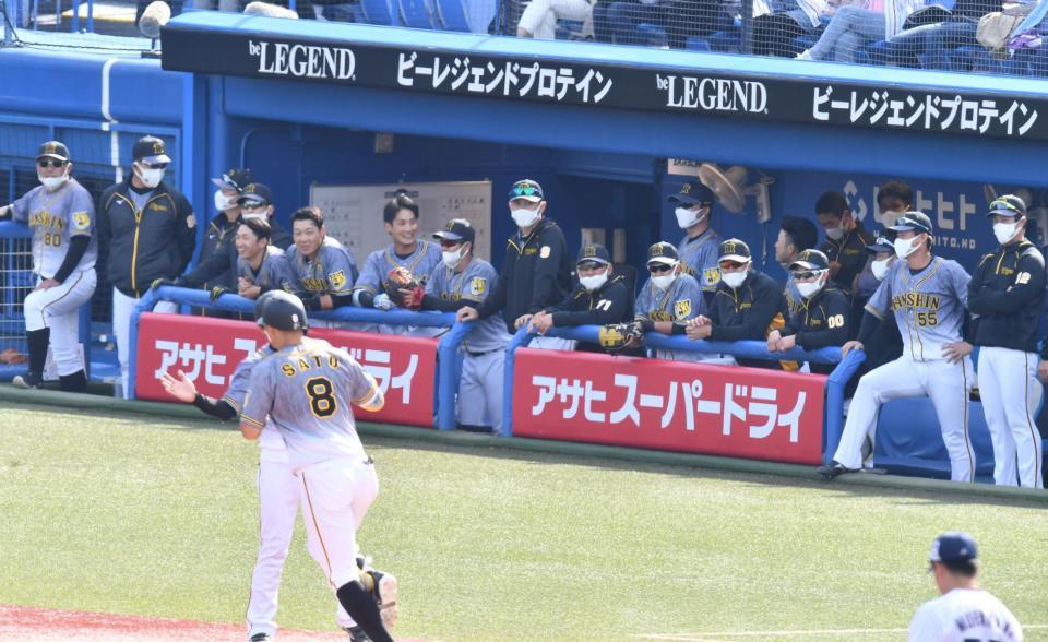 　４回、２ランを放った佐藤輝（８）を笑顔で見つめる阪神ナイン（撮影・高石航平）