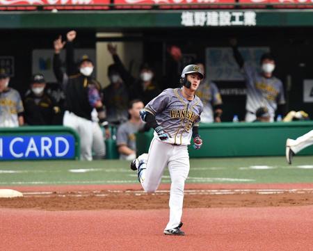 ５回阪神無死、ソロを放った阪神・板山祐太郎と手を上げて喜ぶ阪神ベンチ＝メットライフドーム（撮影・高石航平）