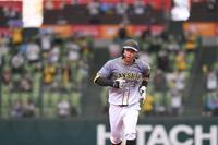 　２回、ソロを放ち、悠々と一周する佐藤輝（撮影・金田祐二）