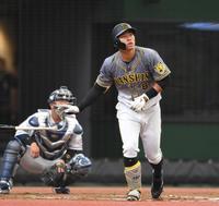 　２回、右越えへソロを放つ佐藤輝（撮影・田中太一）