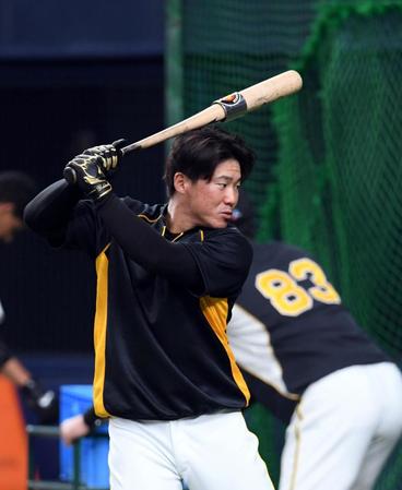 　トス打撃する阪神・陽川尚将（撮影・山口登）