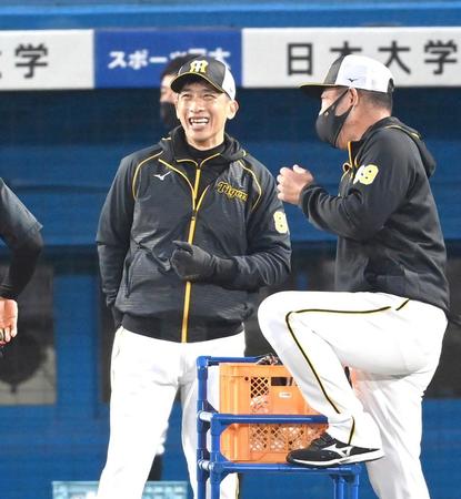 　笑顔で練習を見る矢野監督