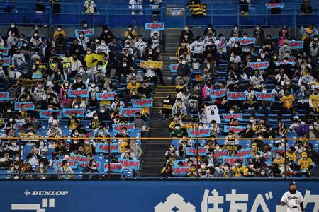 ２回、阪神・佐藤輝明の打席時に応援タオルを掲げるレフトスタンドのファン＝神宮球場（撮影・高石航平）