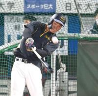 　フリー打撃で快音を響かせる佐藤輝