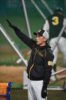 　練習中、コーチらと話をする矢野監督