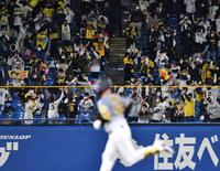 　４回、サンズのソロに喜ぶレフトスタンド（撮影・高石航平）