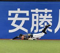 　７回、塩見の打球処理の時につまずく佐藤輝（撮影・高石航平）