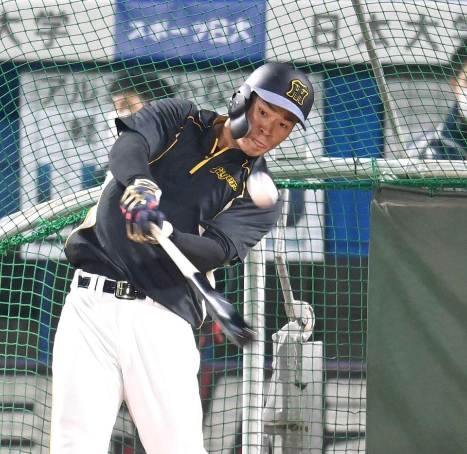 　フリー打撃で快音を響かせる佐藤輝