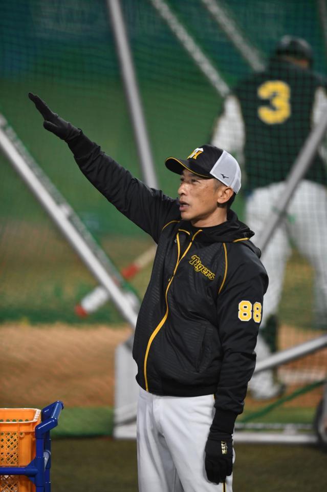 　練習中、コーチらと話をする矢野監督