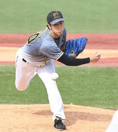 　力投する青柳（撮影・飯室逸平）