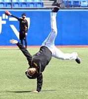 アップ中、側転する阪神・佐藤輝明＝神宮（撮影・飯室逸平）