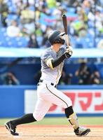 　１回、プロ初本塁打となる２ランを放つ阪神・佐藤輝（撮影・高石航平）