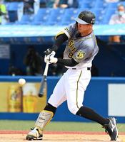 阪神・佐藤輝がプロ1号「打った瞬間行ったと」2試合目は球団 阪神・佐藤輝がプロ1号「打った瞬間行ったと」2試合目は球団