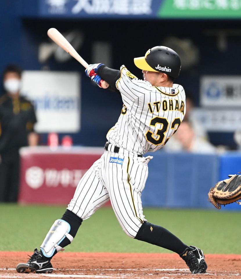 　７回、右前タイムリーを放つ阪神・糸原健人（撮影・飯室逸平）