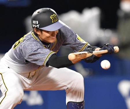 　４回、送りバントを決める藤浪（撮影・西岡正）