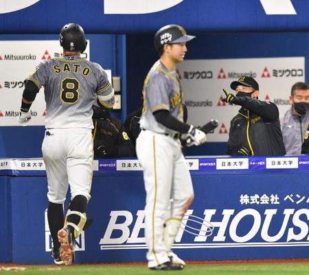 　６回、ソロを放った佐藤輝（左）を祝福する矢野監督（撮影・西岡正）