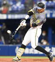 　１回、右前打を放つ佐藤輝（撮影・飯室逸平）