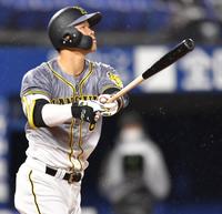 　６回。右越えソロを放つ佐藤輝（撮影・西岡正）