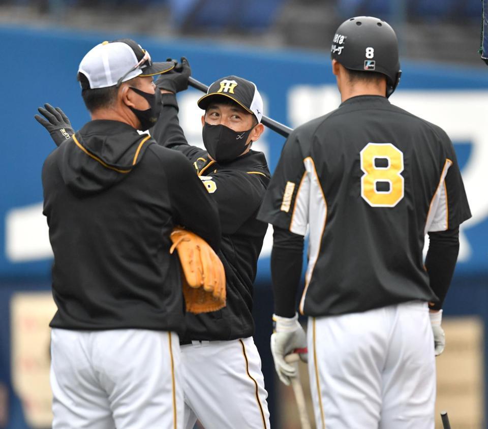 　試合前練習で佐藤輝（右）に打撃指導する井上コーチ（左）と矢野監督（撮影・西岡正）