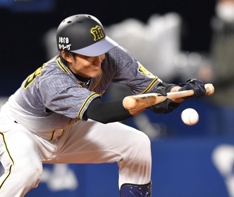 　４回、送りバントを決める藤浪（撮影・西岡正）