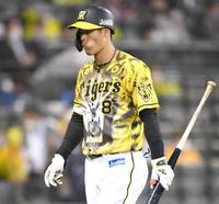 　２回、空振り三振に倒れ、ベンチに戻る阪神・佐藤輝明＝甲子園（撮影・北村雅宏）