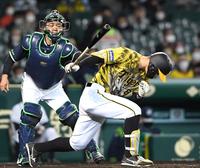 　５回、空振り三振に倒れる阪神・佐藤輝明＝甲子園（撮影・北村雅宏）