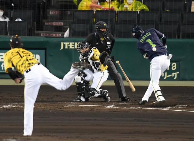 阪神戦で若手の水口審判員が“３死球” 球審がまさかの受難…/阪神タイガース/デイリースポーツ online